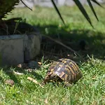 Buna Breeze Ferienhaus Blagaj
