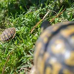 Ferienhaus Buna Breeze *