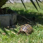 Ferienhaus Buna Breeze Blagaj