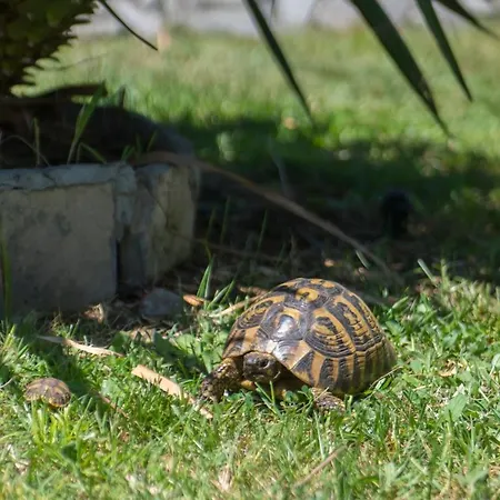 Buna Breeze Nyaraló Blagaj