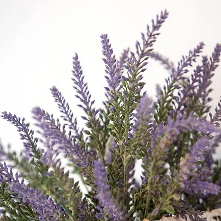 Buna Breeze * Blagaj