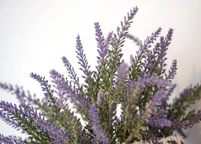 Buna Breeze * Blagaj