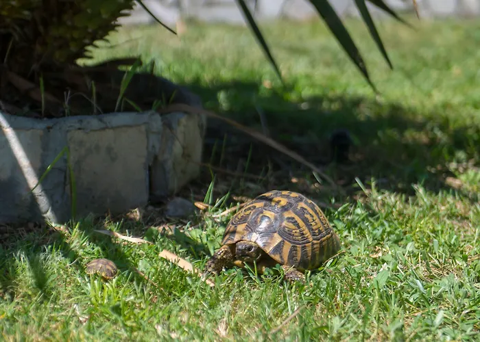 Semesterbostad Buna Breeze Blagaj